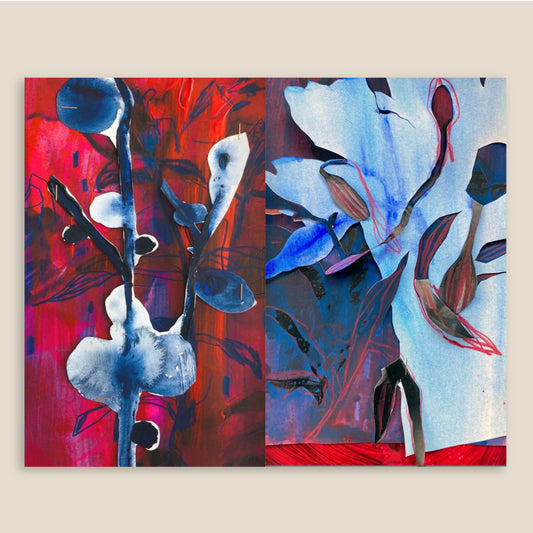 #008 Anook Cléonne - Notitieboekje