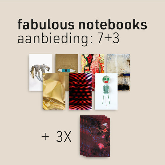 #000 Aanbieding set van 10 boekjes - Anook